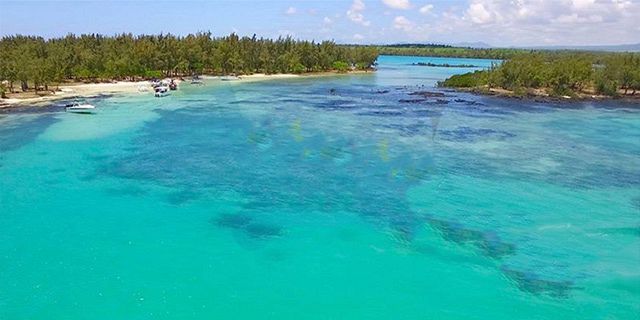 Exclusive trip d ambre ilot bernaches coin mire (22)